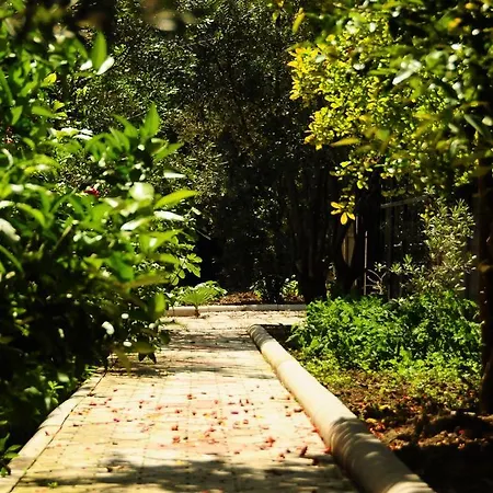 科瑞姆公寓酒店